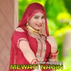 About Mewati Nagin Song
